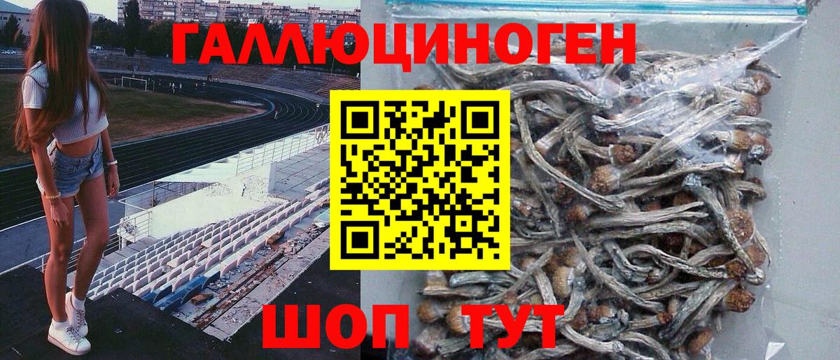 Псилоцибиновые грибы Psilocybe  Вход с VPN  Минусинск 