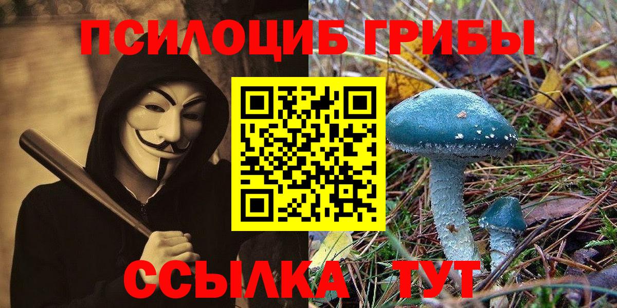 Галлюциногенные грибы MAGIC MUSHROOMS Минусинск